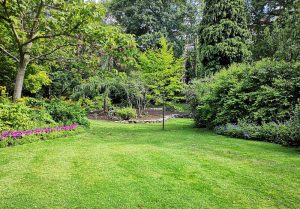 Optimiser l'expérience du jardin à Amfreville-les-Champs